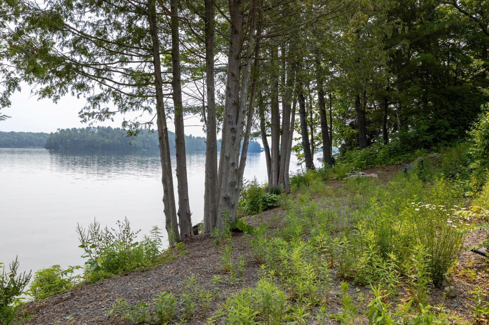 Tranquil Shores Mactier Exteriér fotografie